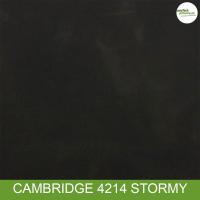 Cambridge 4214 Stormy